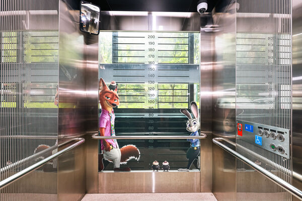 ▲貓空纜車《動物方城市》主題《全城出動 飛上貓空》即日起至8月31日開跑。（圖／迪士尼提供）