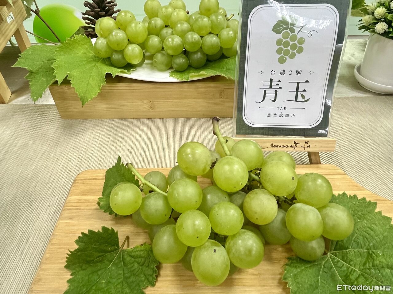 20年研發新品種葡萄「青玉」比巨峰甜 還帶有哈密瓜香氣 | ETtoday生活新聞 | ETtoday新聞雲