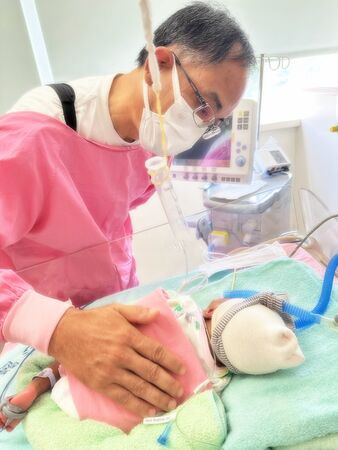 ▲▼650克早產兒喜迎抓周　麥當勞叔叔之家助就醫家庭解決住宿難題。（圖／受訪者授權提供）