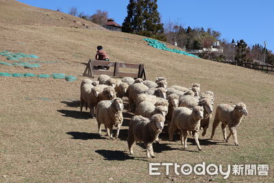 颱風沙德爾進逼　武陵、清境、福壽山3農場明12:00起休園