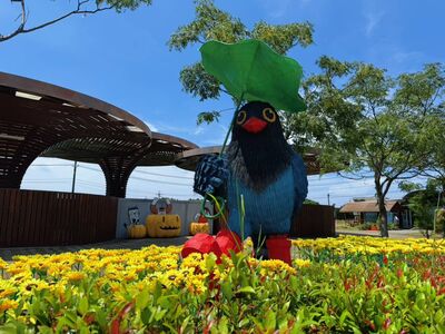 桃園蓮花季7/4登場!豬、蓮蓬6大裝置亮相 新北3處賞荷點一次看