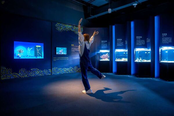 ▲中科公園戲水區、后里馬場、台中海洋館特展、臺中市纖維工藝博物館、park2草悟廣場。（圖／台中市觀旅局提供）