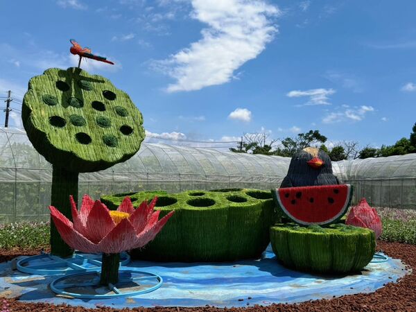 ▲「2026桃園蓮花季」將於7月4日至8月30日在觀音區蓮花園休閒農業區開跑。（圖／桃園市農業局提供）