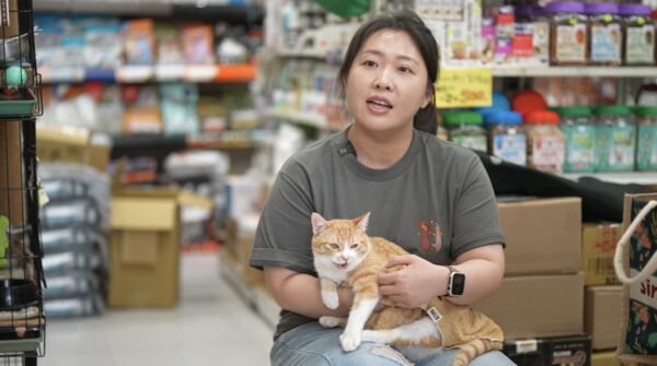 ▲▼恆春浪貓浴血重生，癱瘓幼貓「心心」獲新生。（圖／台灣動物緊急救援小組提供）