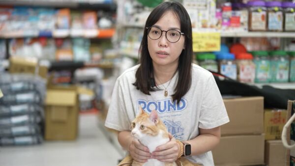 ▲▼恆春浪貓浴血重生，癱瘓幼貓「心心」獲新生。（圖／台灣動物緊急救援小組提供）