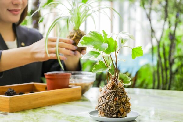 ▲海拔約750公尺的日月潭「漢來日月行館」。（圖／漢來日月行館提供）