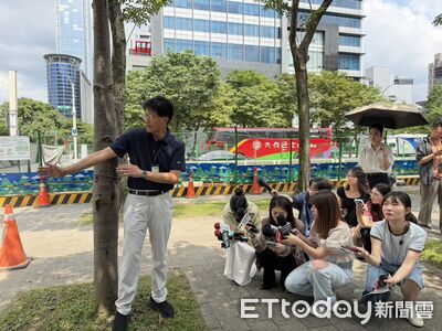 議員批「捨樹求菇」 蔣萬安:「不為遮陽傘」為無障礙空間