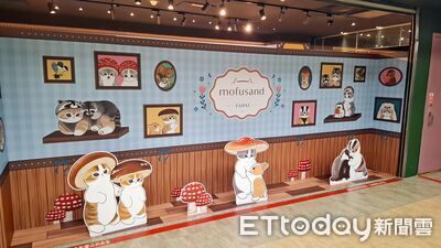 《貓福珊迪》快閃店身中山！巨幅「森林喵歡迎牆」、超多商品貓迷必看