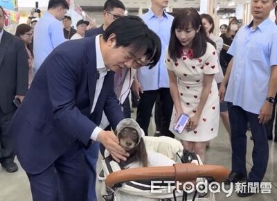 逛寵物展獲得「總統級摸摸」　臘腸汪尾巴狂搖興奮前後跳