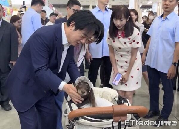 逛寵物展獲得「總統級摸摸」　臘腸汪尾巴狂搖興奮前後跳