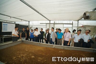雲二監養黑水虻「吃廚餘變綠金」 收容人學科技農業拚更生