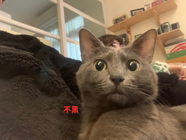▲。（圖／爺爺姊姊提供）