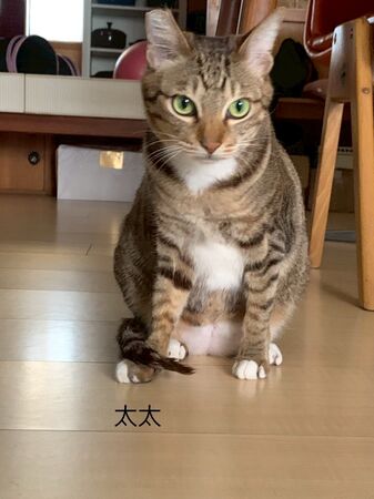 ▲。（圖／爺爺姊姊提供）
