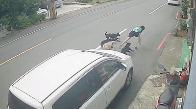 驚悚畫面!惡犬圍攻撕咬12歲童 媽媽不捨痛哭:完全沒人幫忙