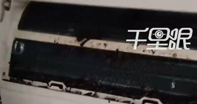 開冷氣飄怪味!師傅拆機驚見10多隻蝙蝠 糞便狂掉極嚇人