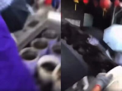 第3次了!玄濟宮遭「10桶糞彈」狂轟 信徒撐傘擋屎、嫌犯落網