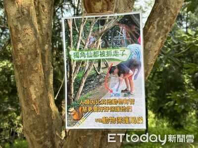 獨角仙都被抓走!大坑9號步道現痛心警示牌 蟲類部落連帶消失