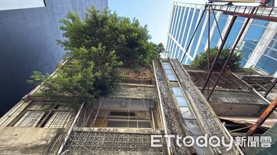 「頭頂長大樹」戰地風公寓賣1.5億　神秘人無貸款掃進