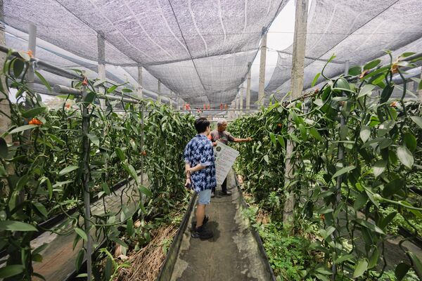 ▲▼飲咖啡都蘭山下香草園。（圖／黑皮的旅遊筆記授權提供）