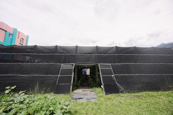 ▲▼飲咖啡都蘭山下香草園。（圖／黑皮的旅遊筆記授權提供）