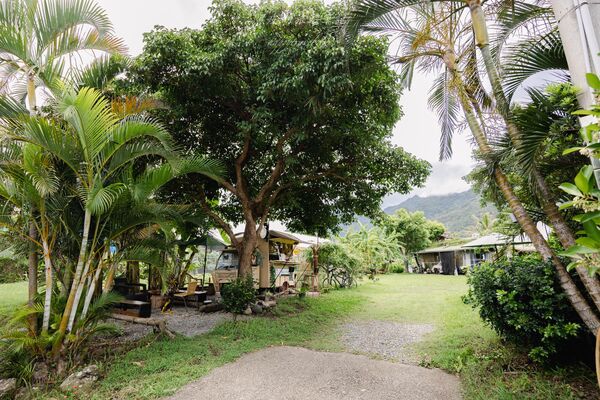 ▲▼飲咖啡都蘭山下香草園。（圖／黑皮的旅遊筆記授權提供）