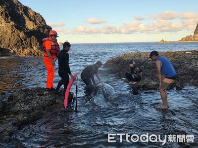 喙鯨擱淺綠島柚子湖!海巡聯手30熱心民眾...全力搶救仍不幸死亡