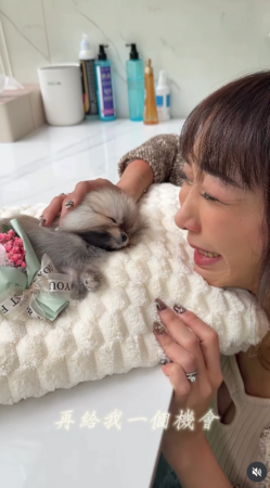 ▲▼李宓。（圖／翻攝自Instagram／mintangelme）