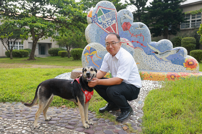 新北校犬「睿睿」融入石門校園　陪伴師生成長落實生命教育