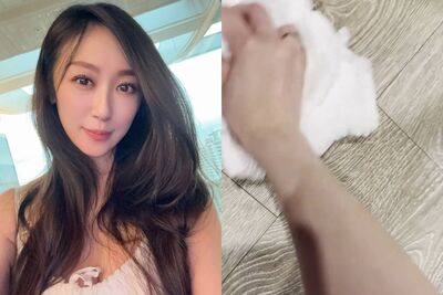 用過的尿布先別丟! 蔡允潔實測「網路奇招」驚呼:神奇