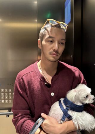 ▲▼嗑爆！卞約漢、蒂芬妮抱「新成員」新婚放閃　粉絲狂喊：終於等到。（圖／翻攝自卞約漢、蒂芬妮IG）