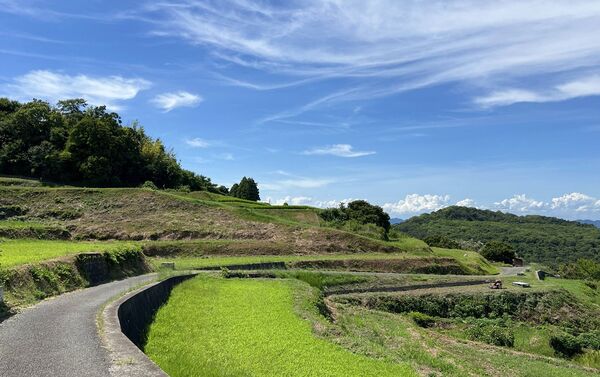 ▲▼豐島。（圖／部落客CJ夫人授權提供）