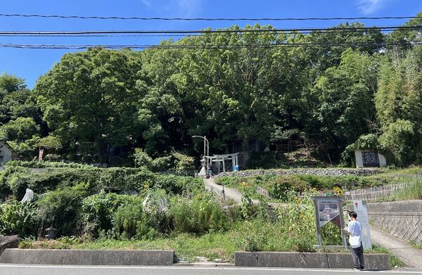 ▲▼豐島。（圖／部落客CJ夫人授權提供）