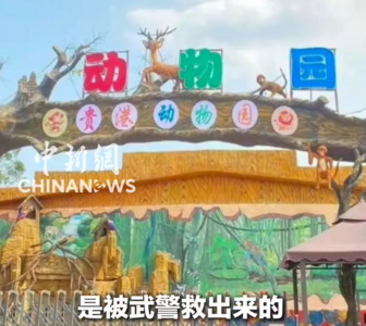 廣西洪水沖毀動物園！上百隻動物逃跑：可能具有攻擊性