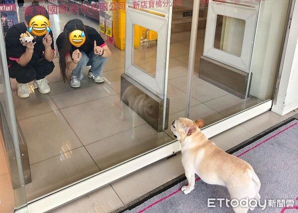 等不及了!法鬥想逛寶雅「跟店員談判」 用手勢溝通還拿早餐誘惑 | ETtoday寵物雲 | ETtoday新聞雲