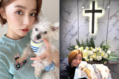 王瞳領養受虐犬12年…牠與病魔奮戰620天離世 淚曝:去找艾成了