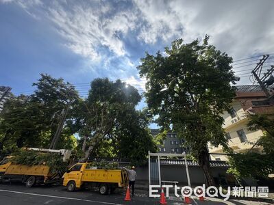 巴威逼近！台電高雄區處急修樹防颱　27台工程車、153人待命
