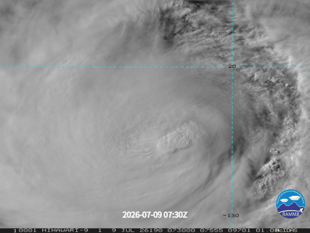▲▼巴威颱風。（圖／NCDR、中央氣象署、翻攝tropicaltidbits、RAMMB）