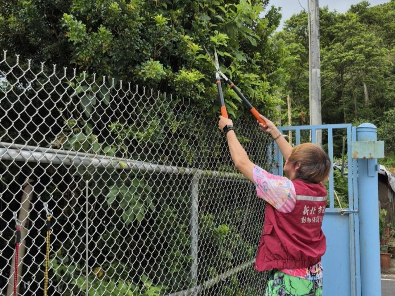 巴威逼近!新北動物之家防颱整備 24小時輪值守護毛孩 | ETtoday地方新聞 | ETtoday新聞雲