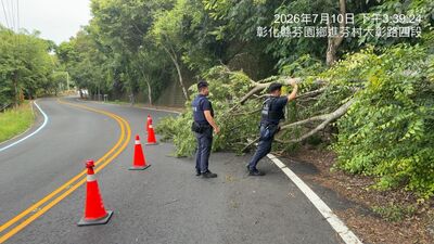 巴威強風掃彰化災情頻傳!8713戶大停電 路樹倒了31棵