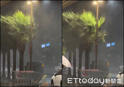 巴威雨彈強襲!他逛新竹好市多出門秒傻眼 強風吹到雨橫著飛