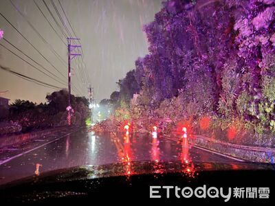 巴威颱風狂風猛吹!大樹不敵強風倒地擋道 員警冒風雨排除