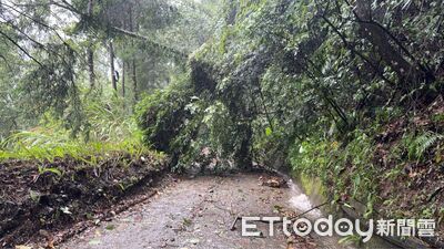 巴威造成南投縣1413戶停電　台電總動員冒雨搶修陸續復電