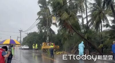 巴威吹倒椰子樹壓電線！鄉公所緊急鋸樹　3小時搶通道路