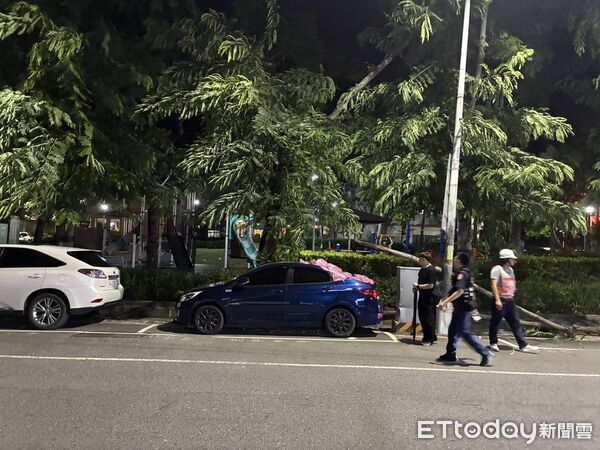 ▲▼             巴威颱風來襲，台中西屯區西安公園路樹倒塌。（圖／記者游瓊華翻攝）
