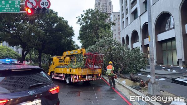 ▲▼             巴威颱風來襲，台中西屯區市政路慢車道路樹倒塌。（圖／記者游瓊華翻攝）