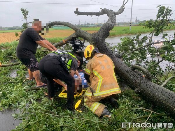 ▲雲林一名女子清晨騎車行經二崙鄉156縣道時，遭倒塌的路樹砸中。（圖／記者游瓊華翻攝）