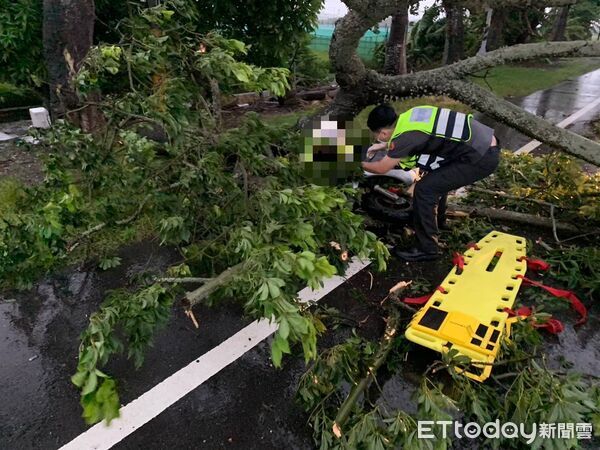 ▲雲林一名女子清晨騎車行經二崙鄉156縣道時，遭倒塌的路樹砸中。（圖／記者游瓊華翻攝）