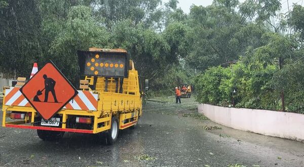 ▲台3線苗栗大湖和卓蘭路段，發生邊坡竹林和路樹崩落，交通一度中斷，相關單位搶通中。（圖／記者楊永盛翻攝）