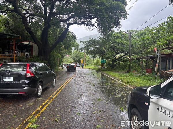 ▲枋寮警方會同公路局清除倒塌路樹。（圖／記者陳崑福翻攝）