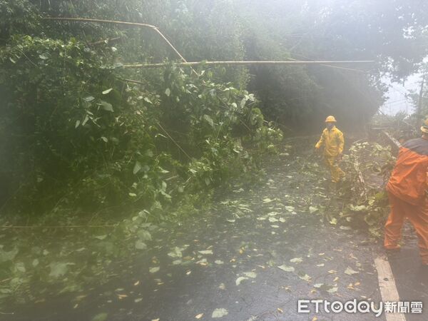 ▲▼   強颱巴威狂襲嘉義山區電力受創！台電冒雨挺進全力搶修中   。（圖／台電嘉義區處提供）